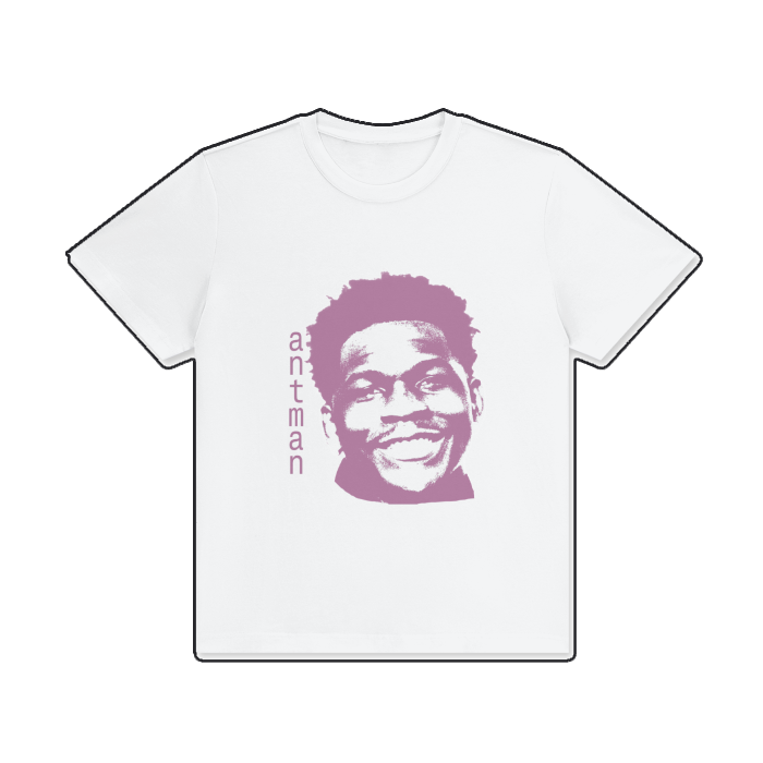 Ant-man v2 Regular Fit Tee